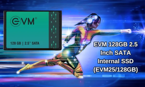 EVM 128GB 2.5 Inch SATA Internal SSD (EVM25/128GB)